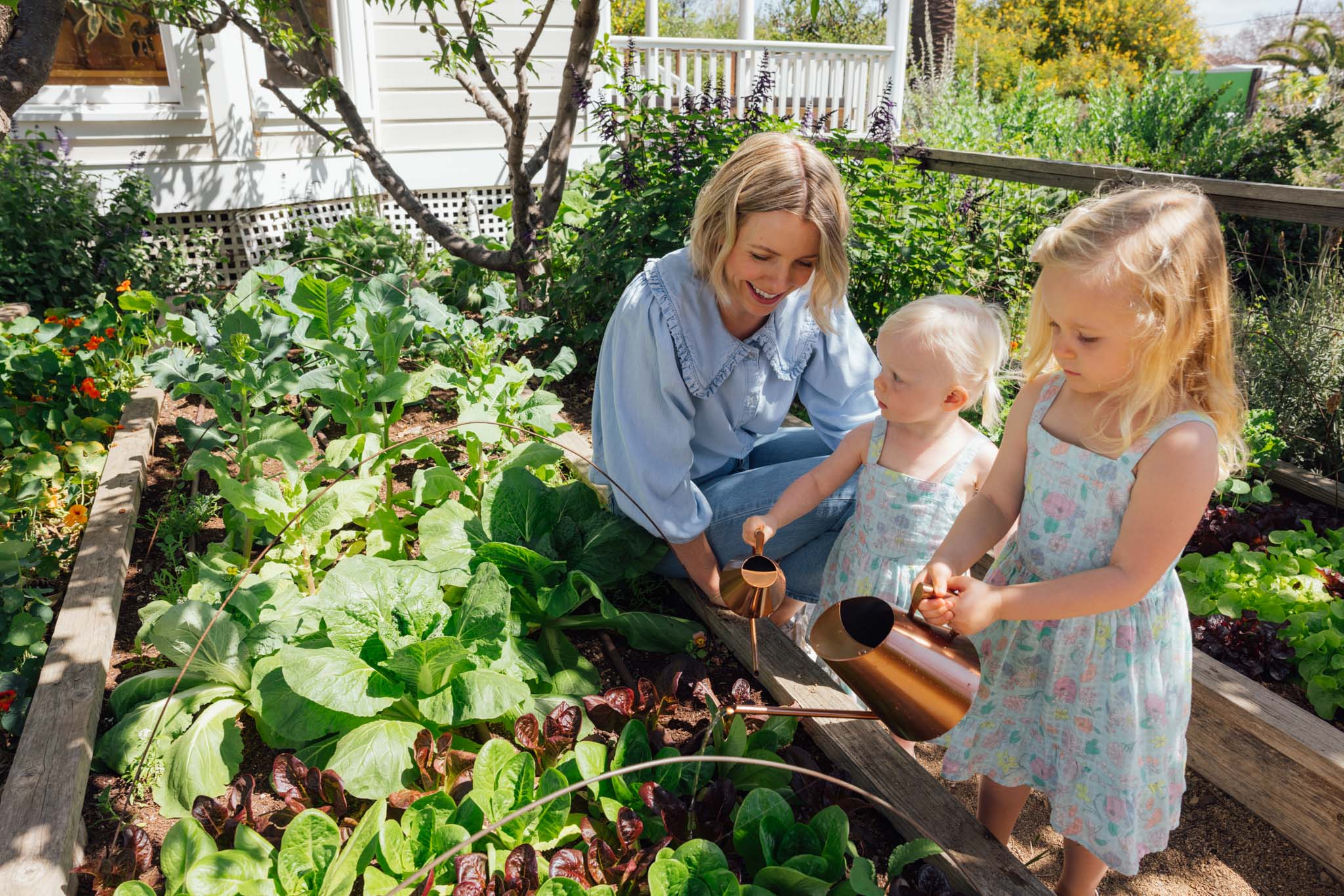 How to Compost a Dead Plant