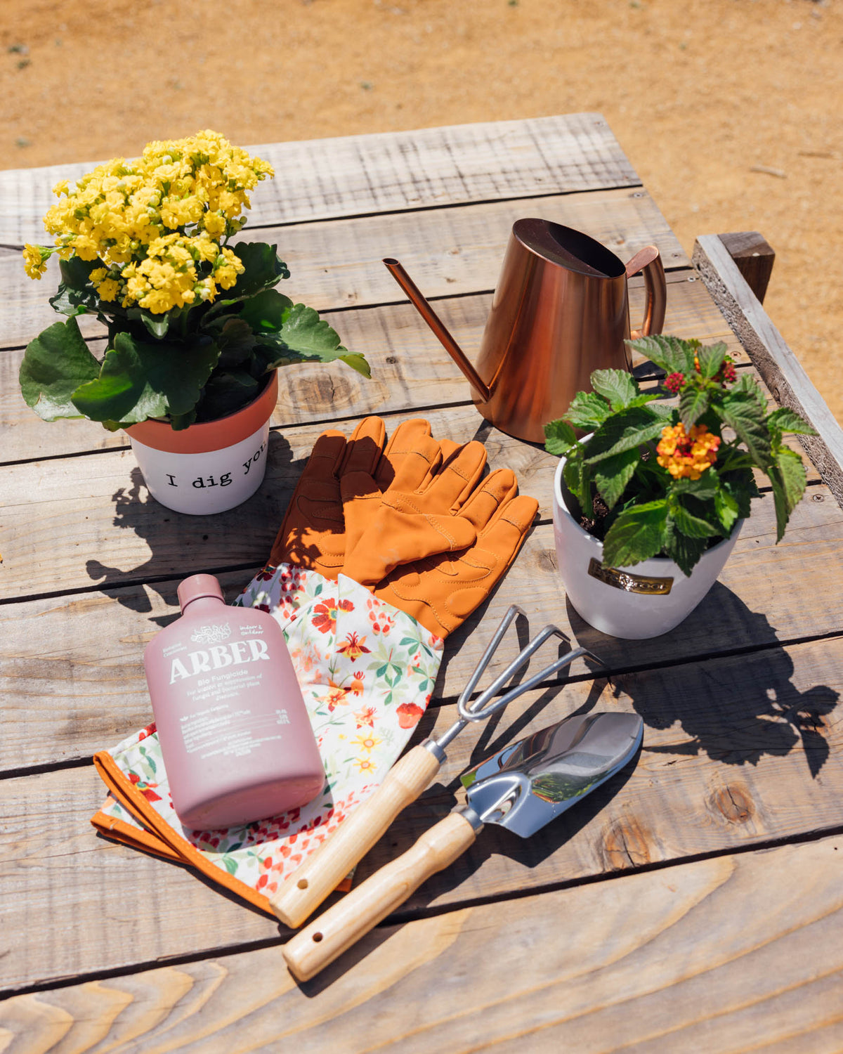 Plant Accessories