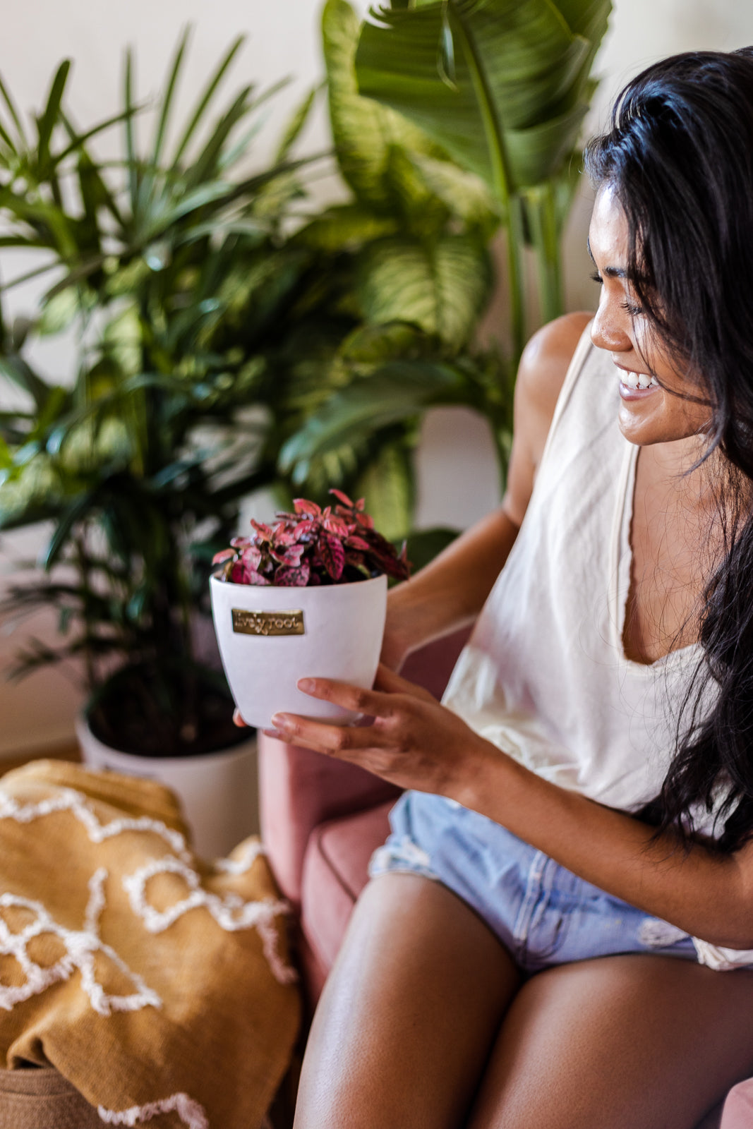 Small House Plants