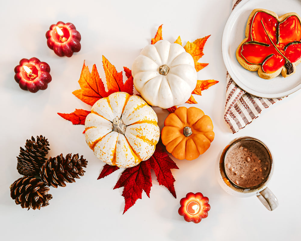Fall Plants