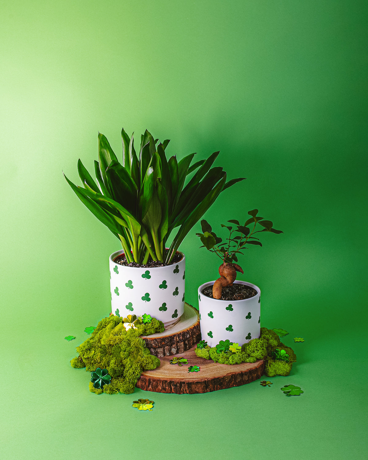 Good Luck Plants