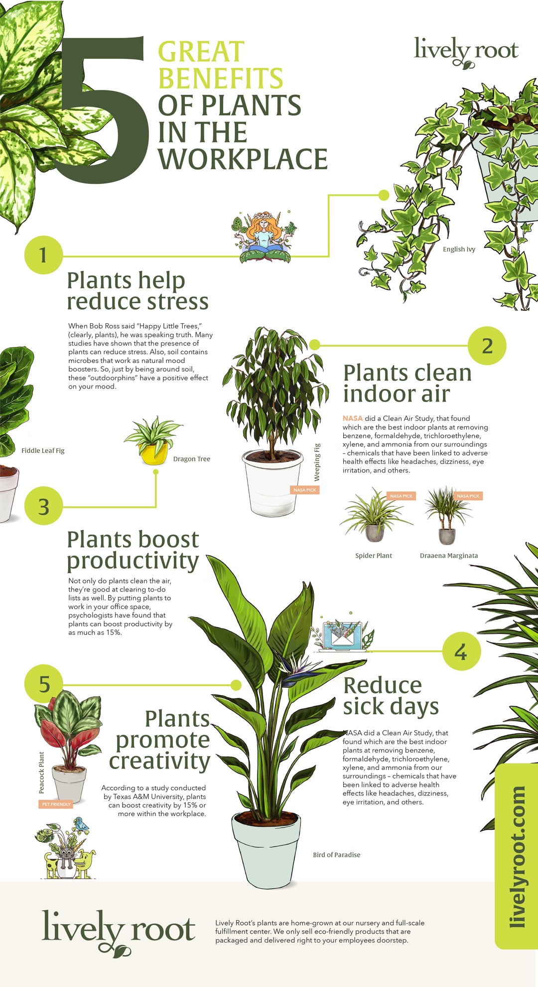 Lively Root - 5 Great Benefits of Plants in the Workplace
