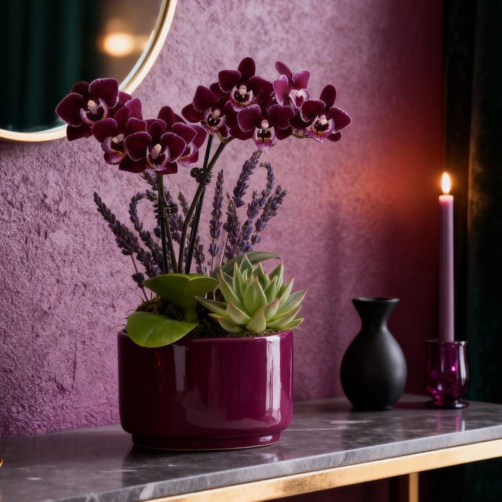 Purple Orchid Centerpiece (Phalaenopsis) in a glossy magenta ceramic pot with deep burgundy blooms lavender stems and a rosette succulent displayed on a marble surface with candlelight against a moody violet textured wall