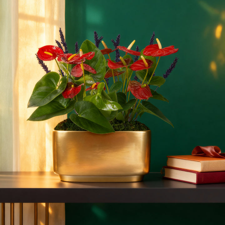 10" Red Anthurium Centerpiece (Anthurium andraeanum) in a gold metal planter with glossy red blooms and purple lavender accents on a console table against an emerald green wall