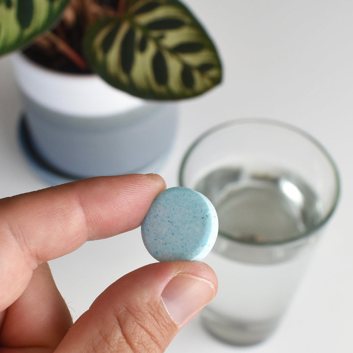 Hand holding a blue Instant Plant Food fertilizer tablet over a glass of water next to a houseplant.