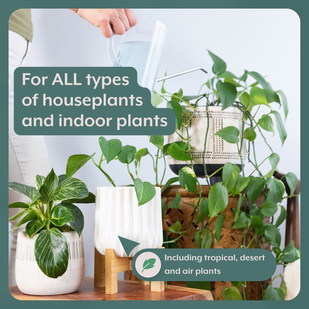 The Complete Plant Care Bundle featuring three illustrated, colorful packets arranged side-by-side: "Instant Plant Protection" with a blue and purple botanical pattern, "Instant Plant Support" with a green and orange pattern, and "Instant Plant Food" with a pink and yellow pattern, all set against a clean white background.