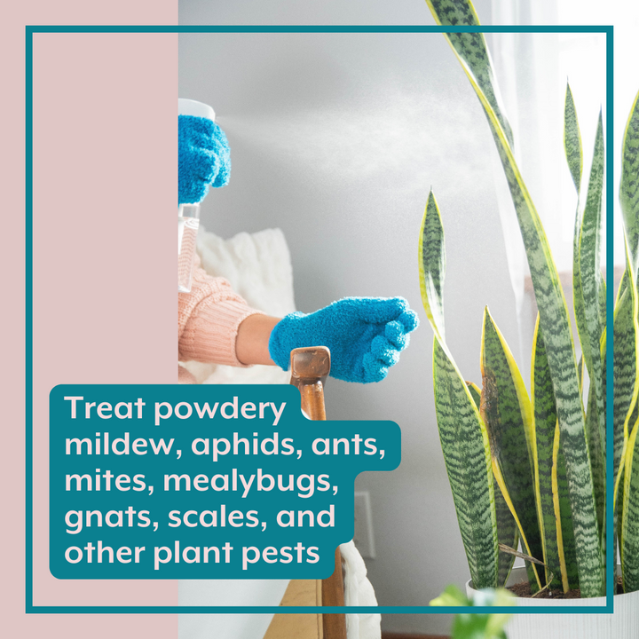 The ULTIMATE Plant Parent Bundle