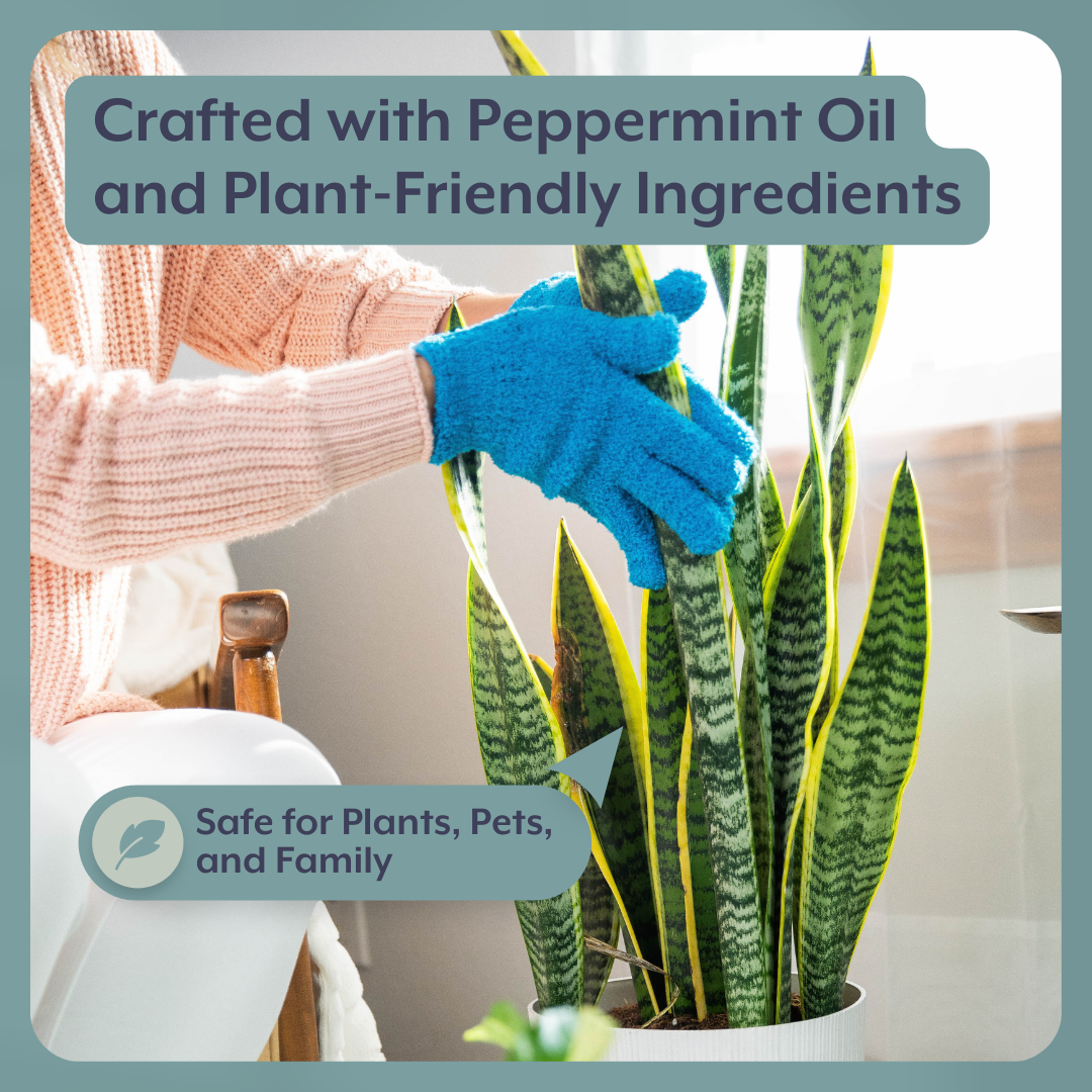 The Complete Plant Care Bundle lifestyle graphic featuring several potted houseplants being watered from a clear pitcher, over text that reads, "For ALL types of houseplants and indoor plants Including tropical, desert and air plants."