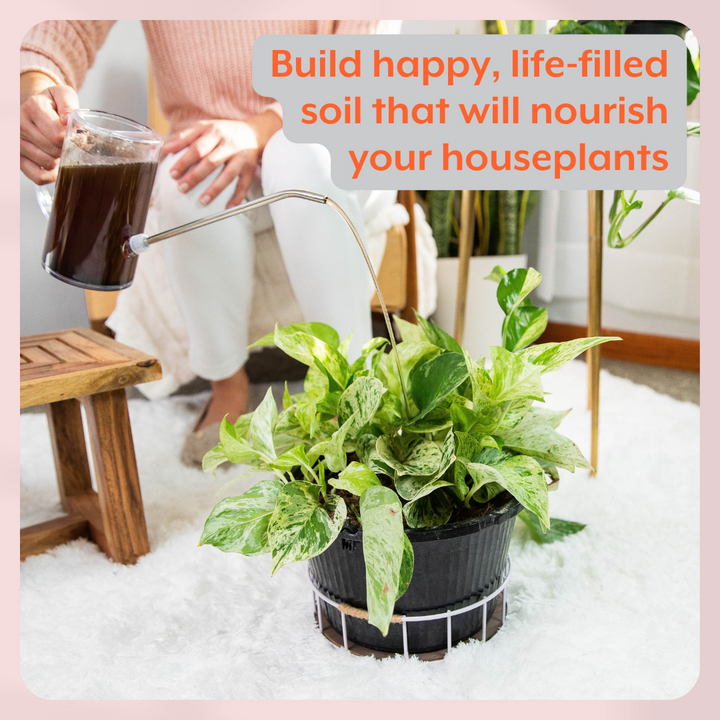 The Houseplant GROW Bundle
