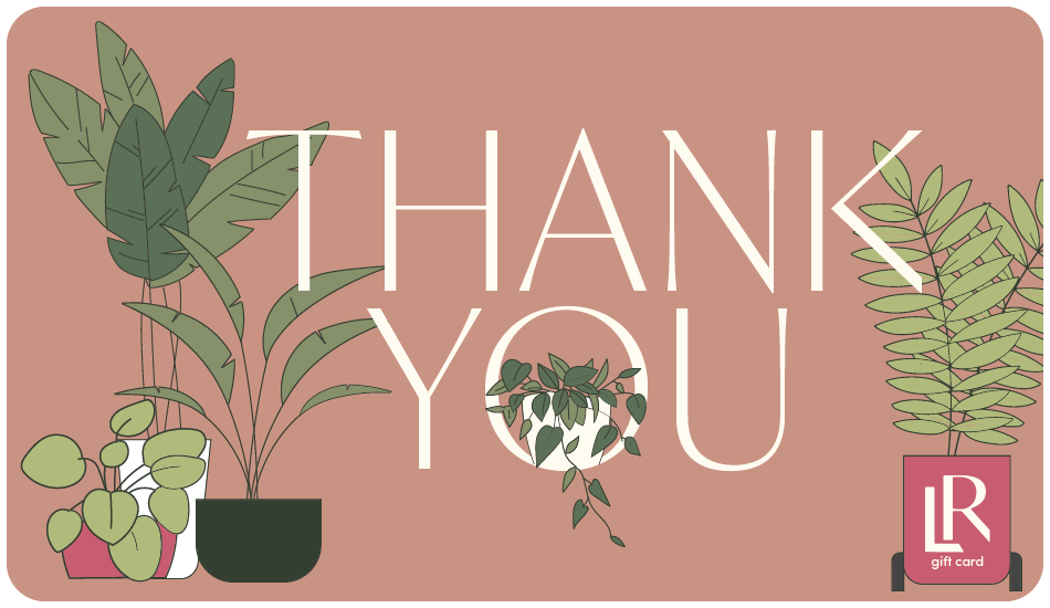 "Thank You" Lively Root gift card in warm terracotta featuring illustrated potted houseplants and monstera leaves, appreciation gift for plant enthusiasts and botanical thank-you present.