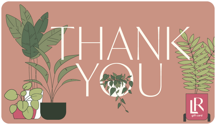 "Thank You" Lively Root gift card in warm terracotta featuring illustrated potted houseplants and monstera leaves, appreciation gift for plant enthusiasts and botanical thank-you present.