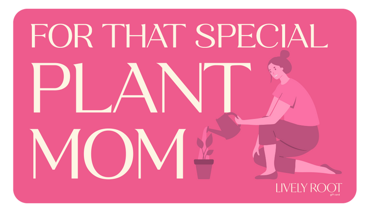 "For That Special Plant Mom" gift card with pink design showing illustrated woman watering houseplant, personalized Lively Root gift for plant enthusiast mothers and plant lover gifts.