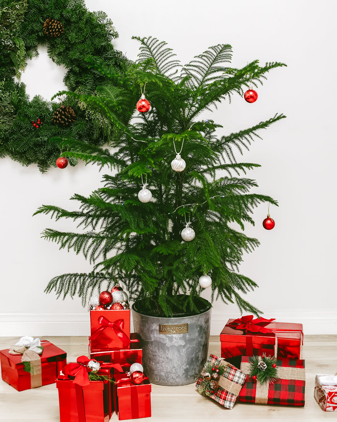 Mini Ornaments and Lights