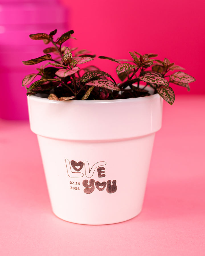 Custom Pot