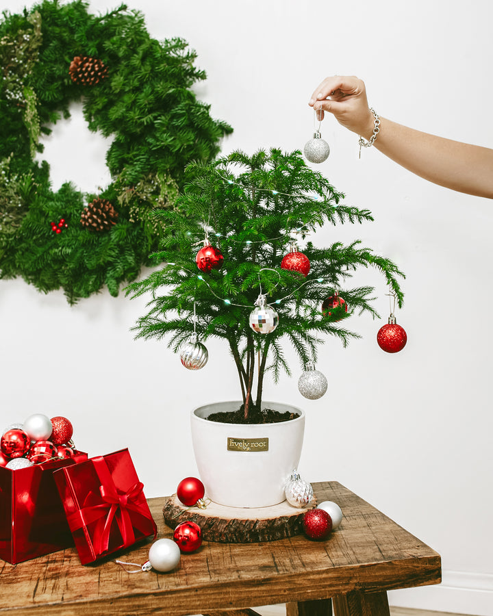 Mini Ornaments and Lights