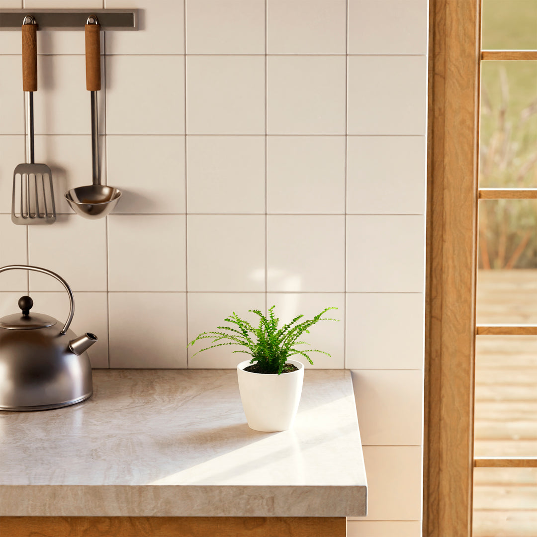 Lemon Button Fern (Nephrolepis cordifolia) in a round white eco coconut pot with delicate arching bright green fronds on a stone kitchen countertop beside a stainless steel kettle with cream tile backsplash and wood-framed window in the background