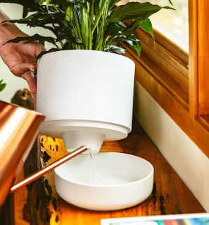 Eco Pot