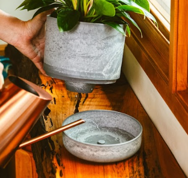 Eco Pot