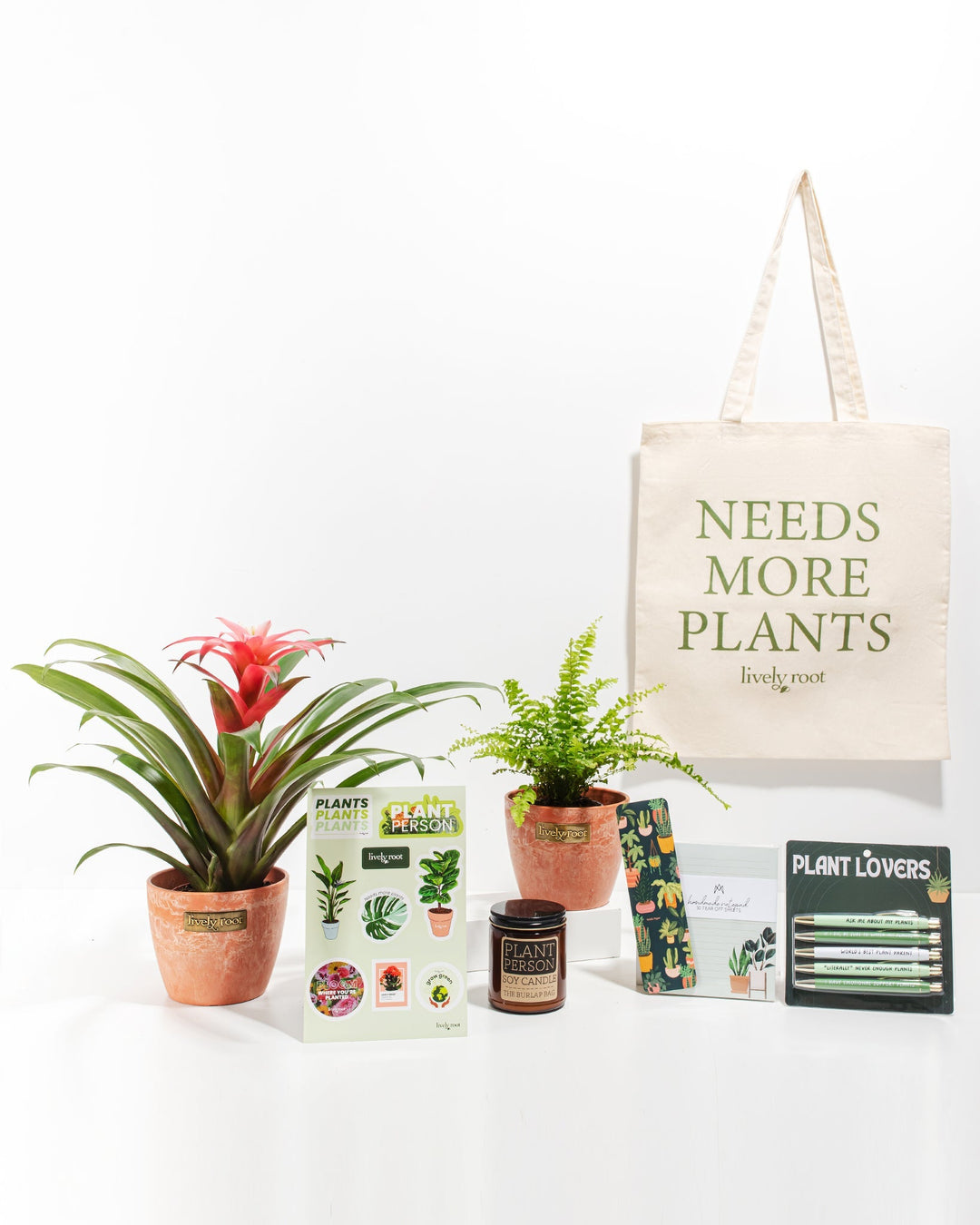 Ultimate Care Package: Pet Friendly Plants