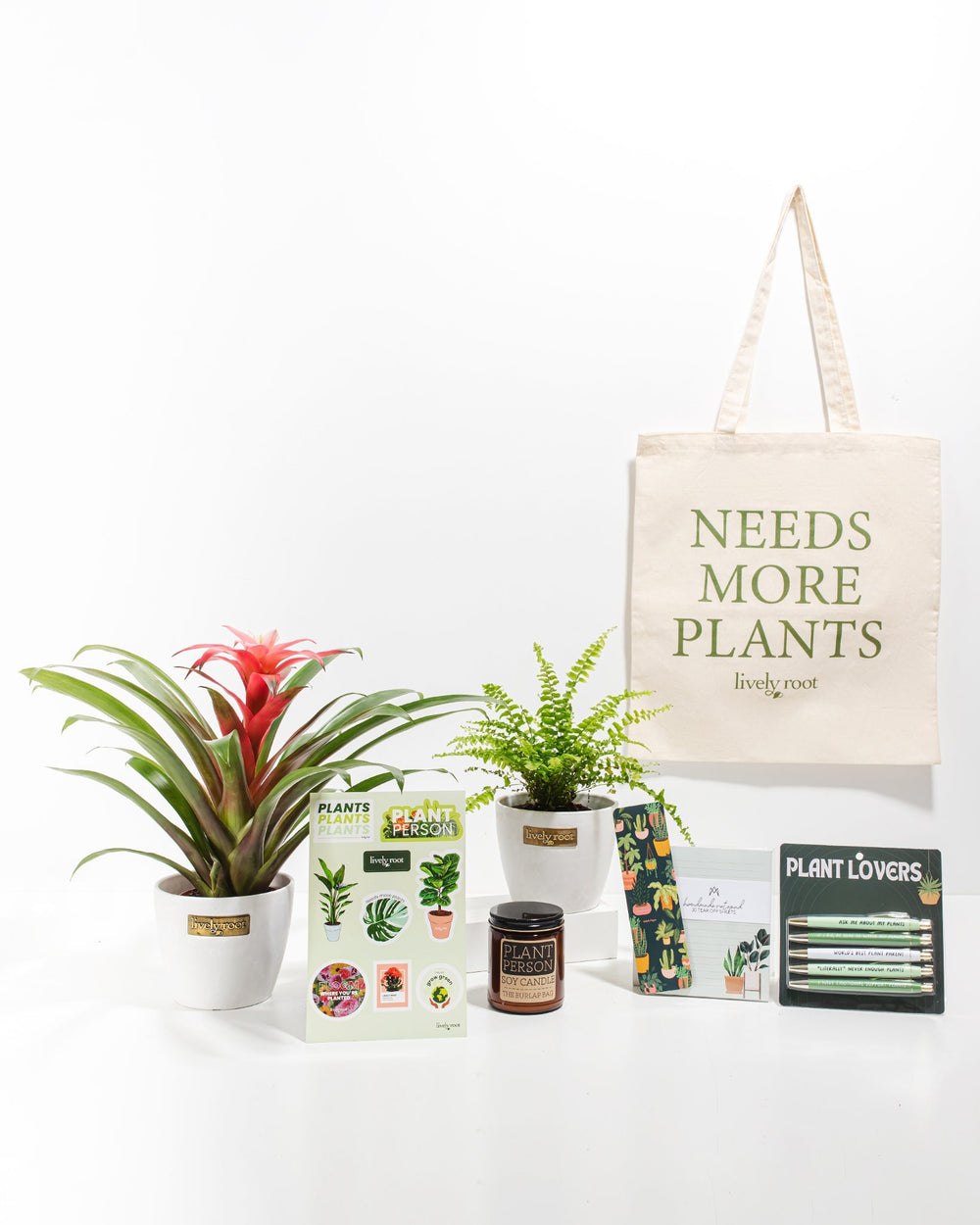 Ultimate Care Package: Pet Friendly Plants