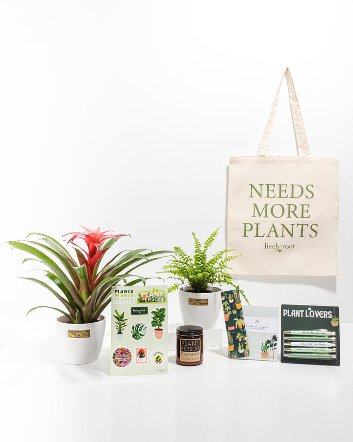 Ultimate Care Package: Pet Friendly Plants