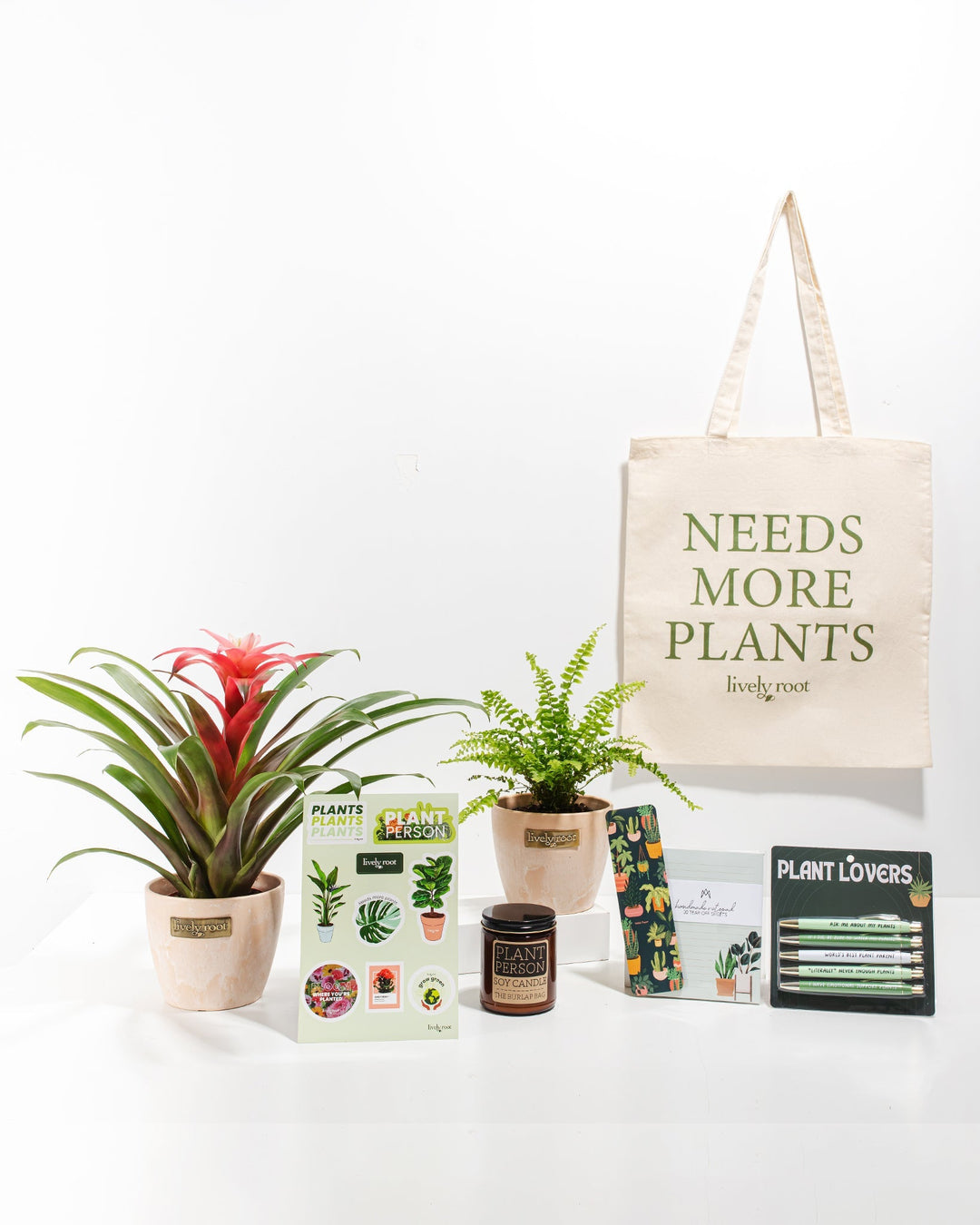 Ultimate Care Package: Pet Friendly Plants