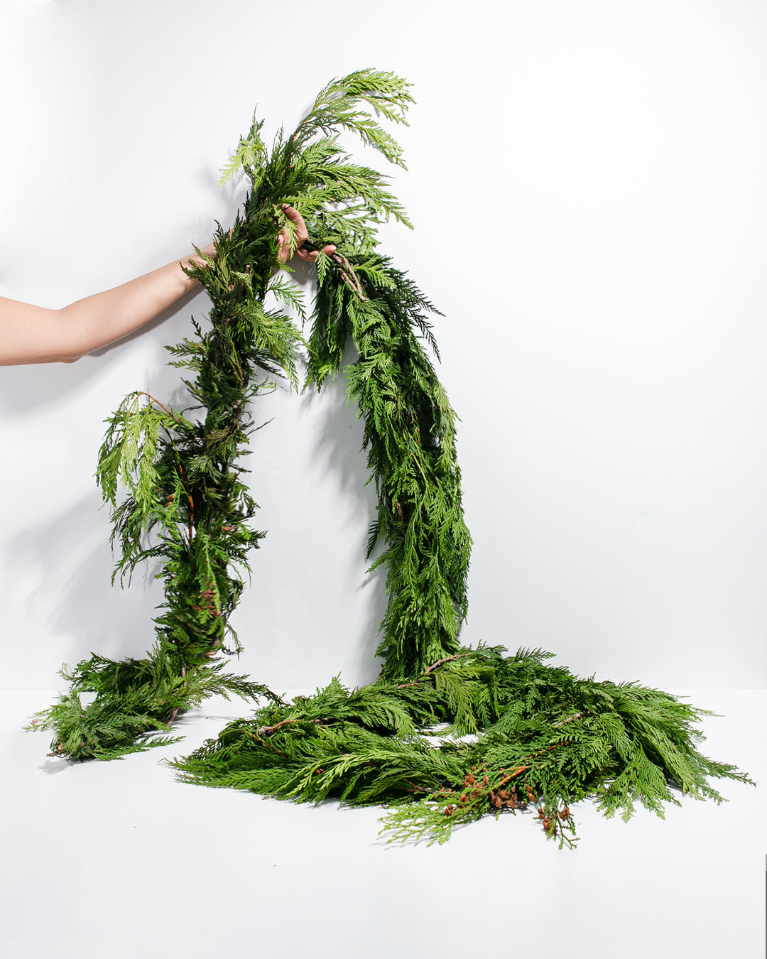 Fresh Cedar Garland