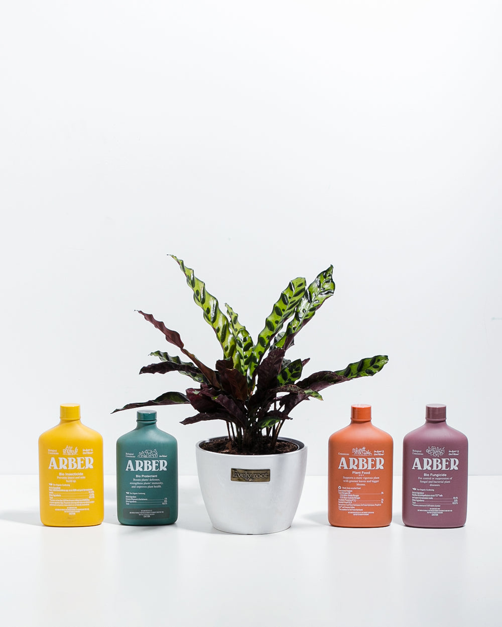 Arber Collection Kit