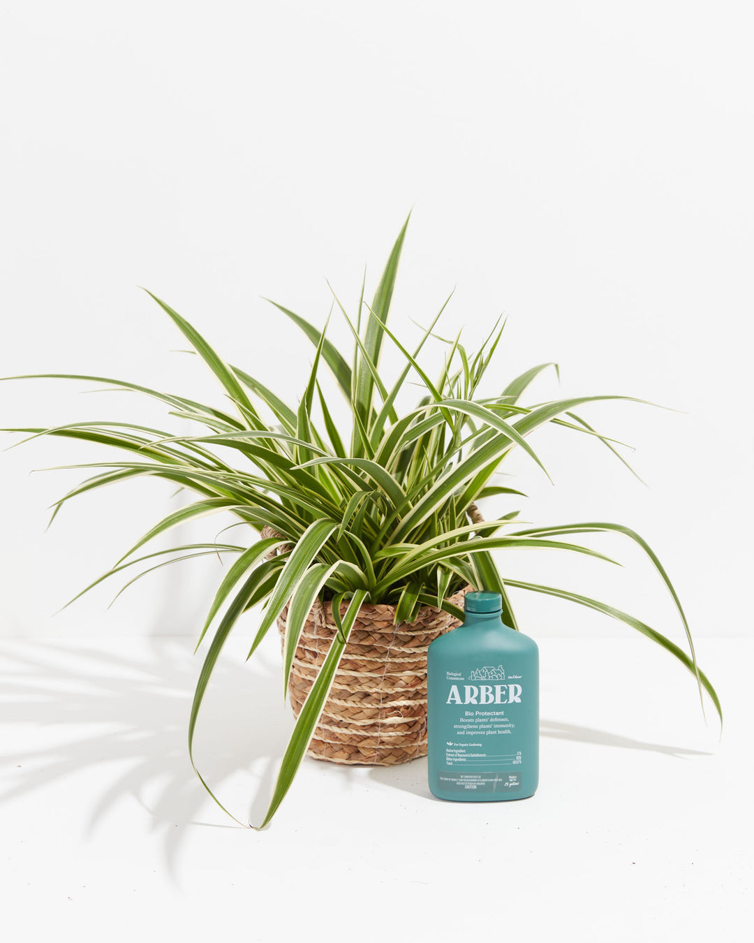 Arber Organic Bio Protectant (Keep Your Plants Disease Free), Lively Root, Fertilizer, , , , 