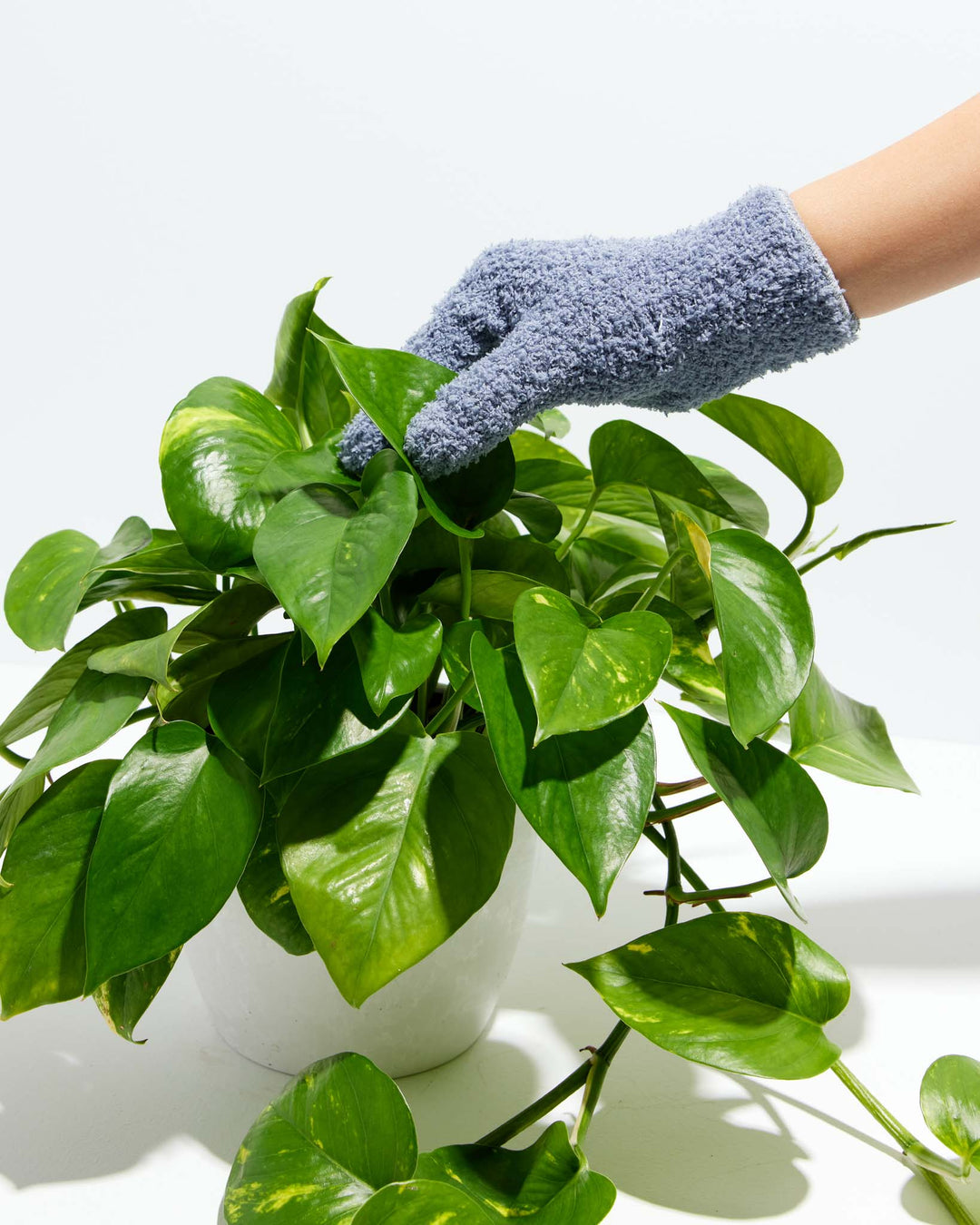 Dusting Glove