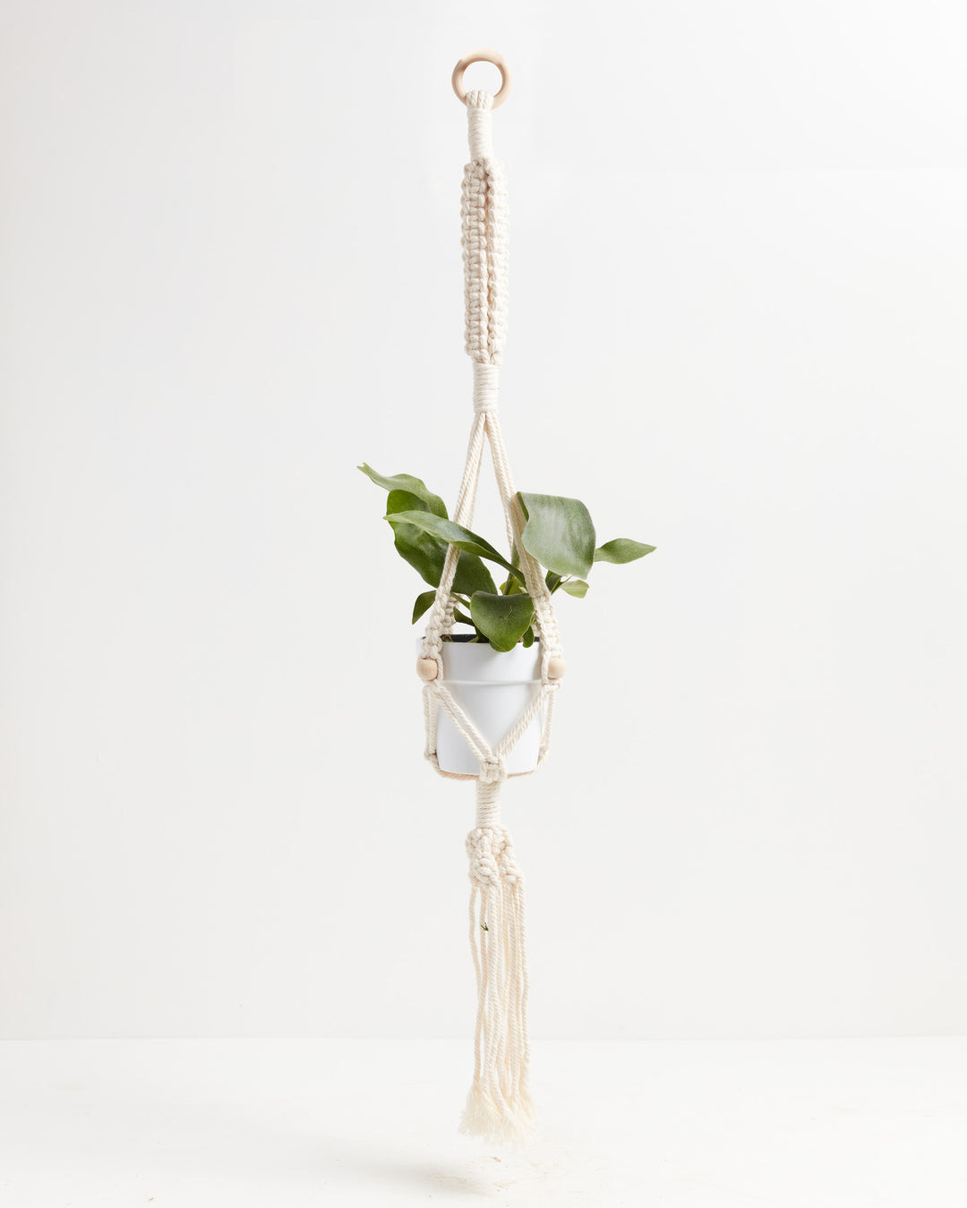 Macrame Plant Hanger, Lively Root, Accessory, , , , 