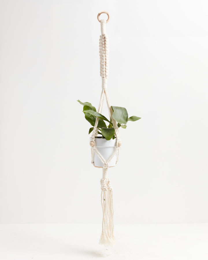 Macrame Plant Hanger, Lively Root, Accessory, , , , 