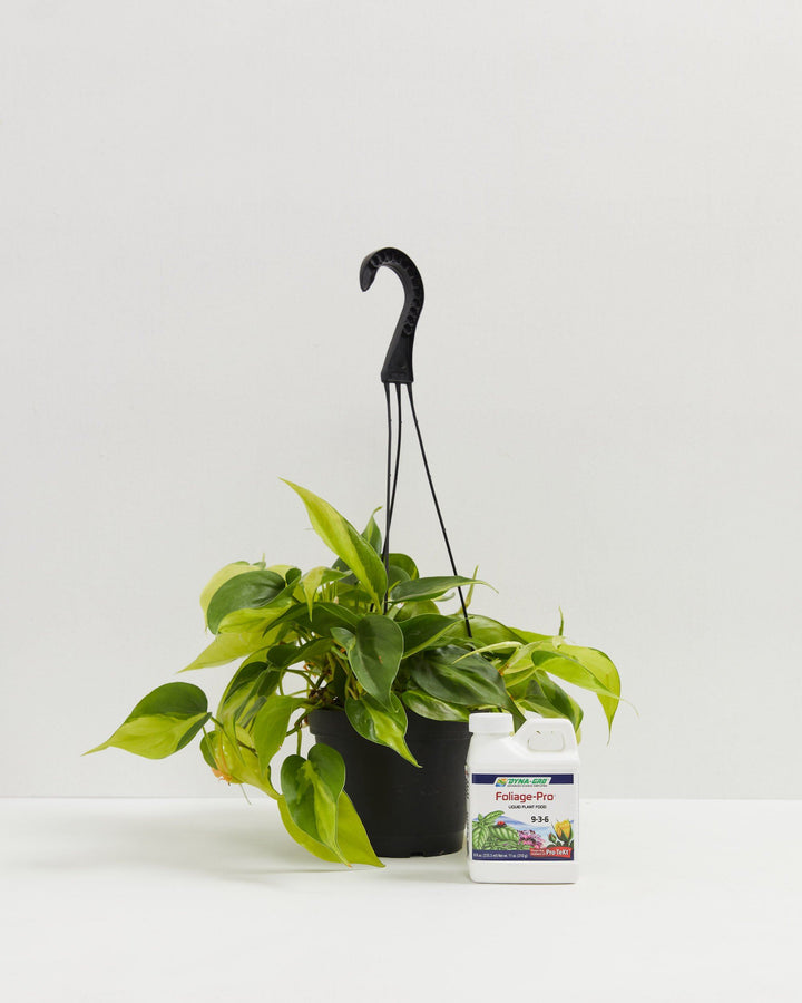 Dyna-Gro Foliage Pro - The Perfect Houseplant Fertilizer, Lively Root, Soil, , , , 