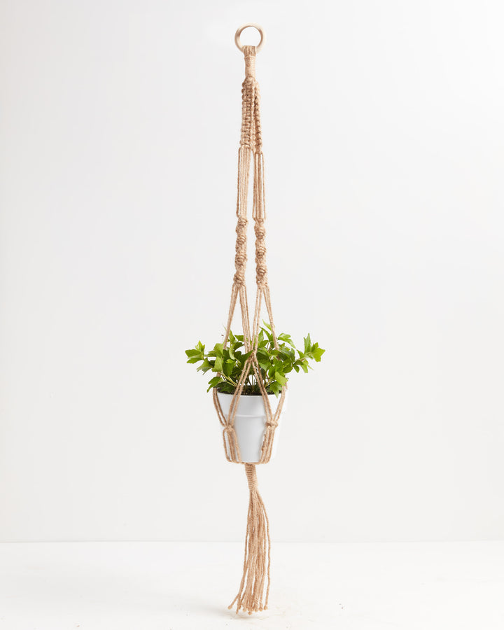 Macrame Plant Hanger, Lively Root, Accessory, , , , 