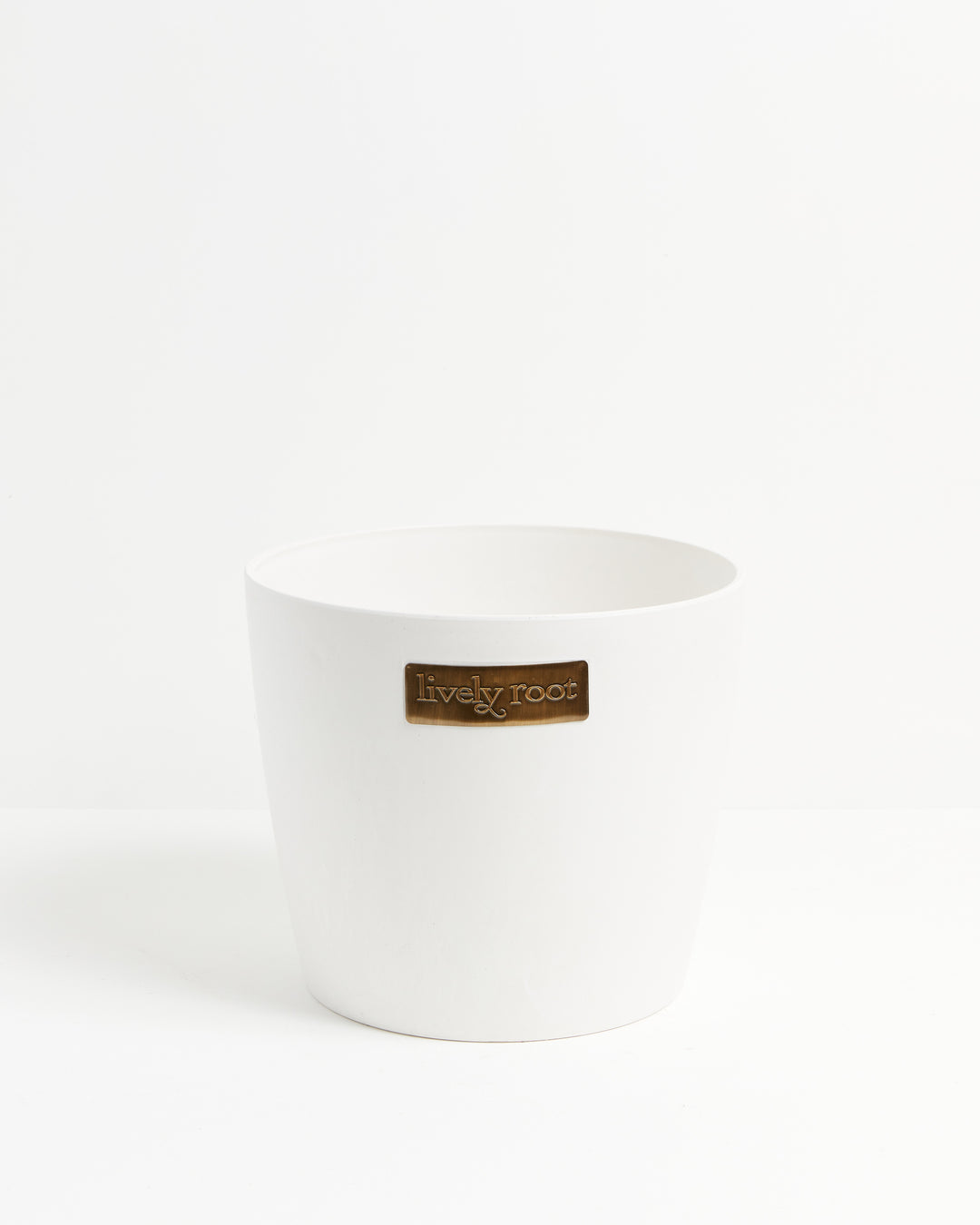 Eco Pot, Lively Root, Planter, Size, Extra Large, Color, Coconut