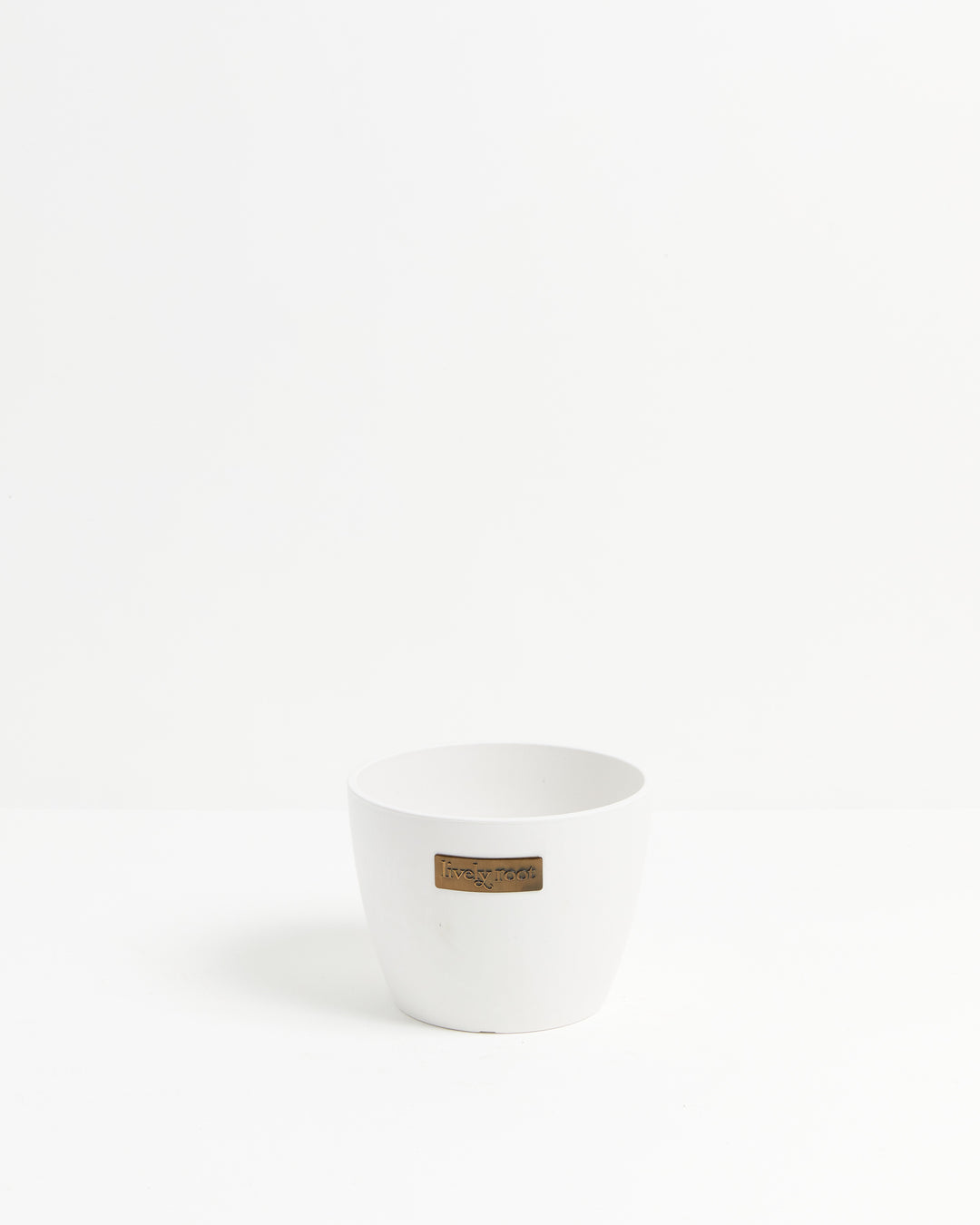 Eco Pot, Lively Root, Planter, Size, Medium, Color, Coconut