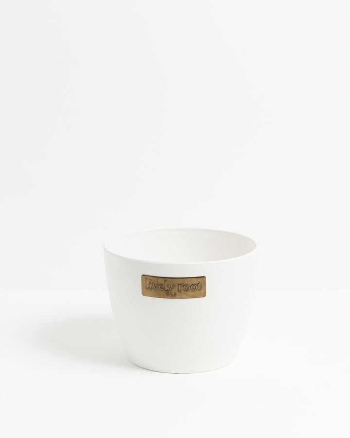Eco Pot, Lively Root, Planter, Size, Large, Color, Coconut