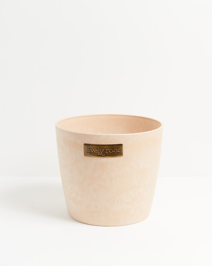Eco Pot, Lively Root, Planter, Size, Extra Large, Color, Macadamia
