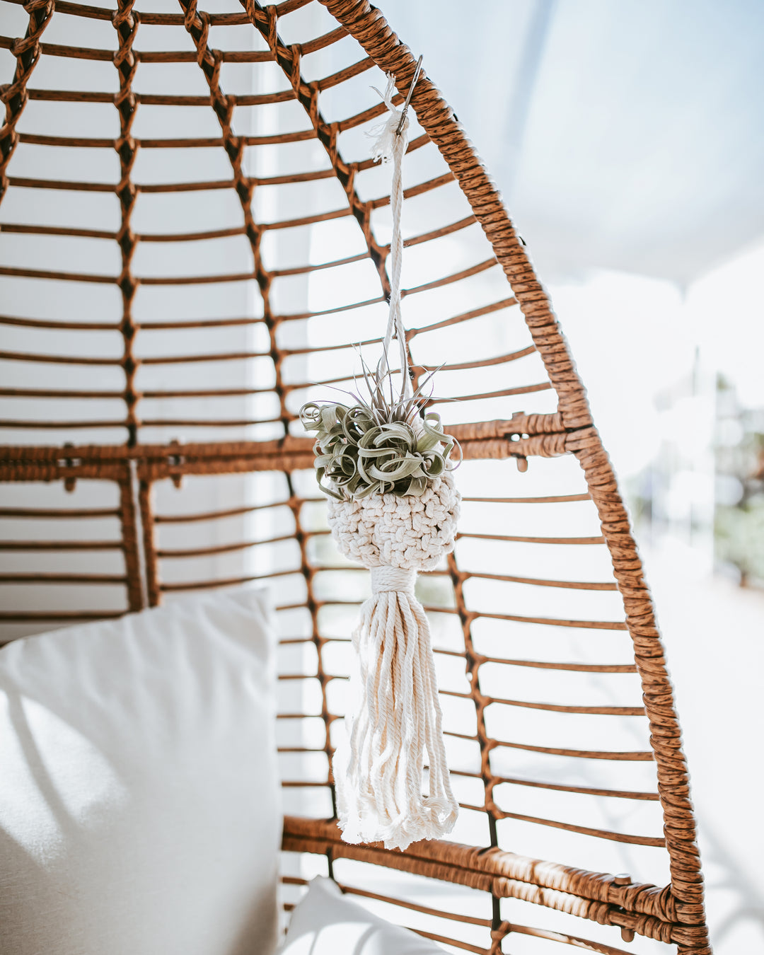 Macrame Air Plant Ornament
