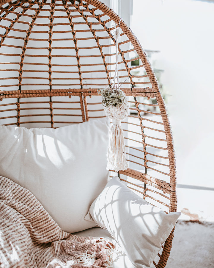 Macrame Air Plant Ornament