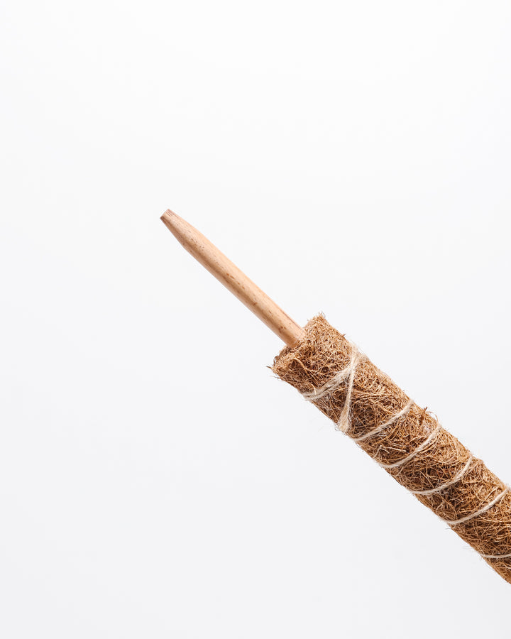 Moss pole featuring natural wooden dowel handle topped with wrapped coir fiber and twine construction, durable plant support accessory designed for indoor climbing plants and aerial root development.