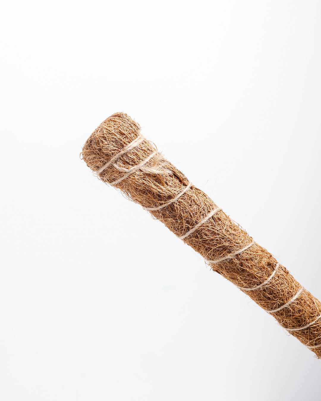 Natural coco coir moss pole with twine binding wrapping throughout full length, plant support stick for climbing tropical houseplants and trailing vines requiring structural guidance and aerial root attachment.