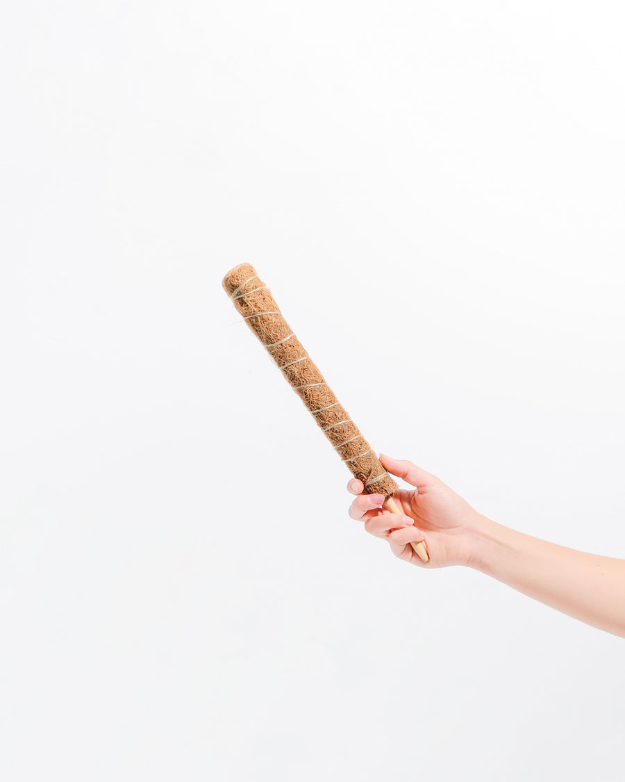 Natural moss pole held in hand showing compact manageable size with wrapped coir fiber and twine binding, plant support stick for small to medium climbing houseplants, vining plants, and aerial rooters.