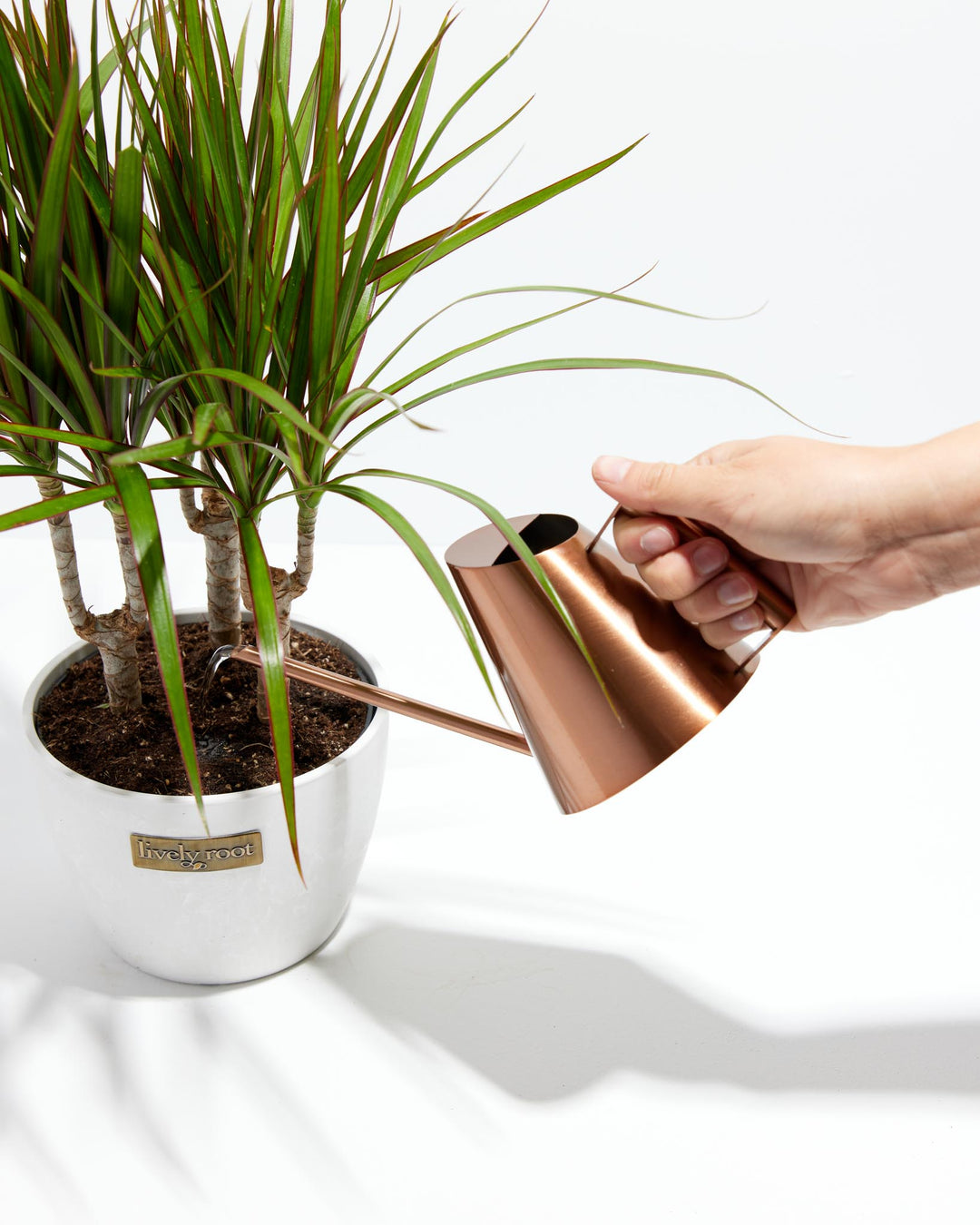 Watering Can