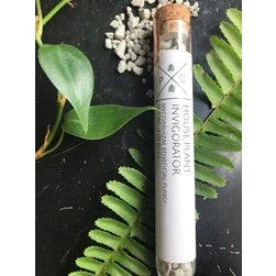 House Plant Invigorator mycorrhizae beneficial fungi glass tube with cork stopper surrounded by perlite, fern fronds, and tropical foliage on dark background