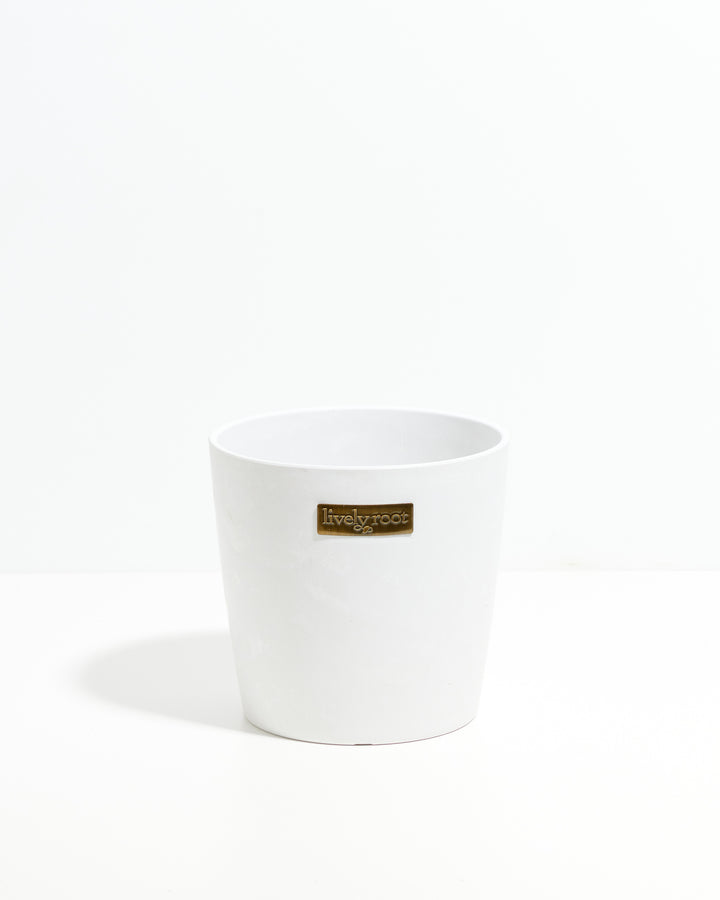 Eco Pot