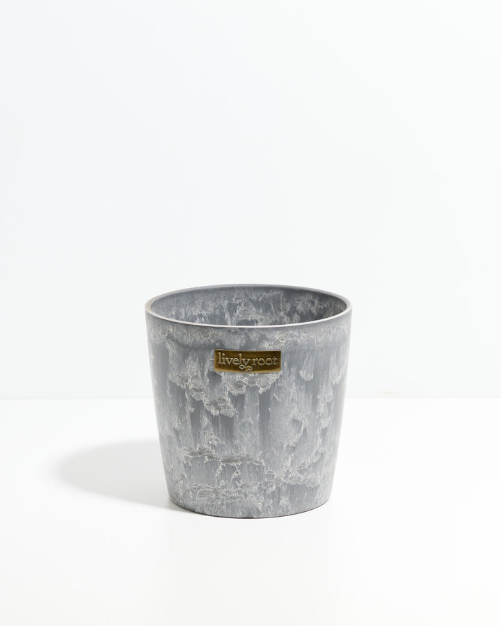 Eco Pot